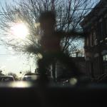 the ever-watchful trip mascot standing guard over the zereps as they begin their journey...