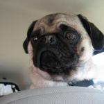 where we goin'?